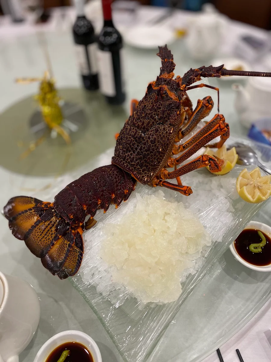 龙虾刺身, Taste of Shunde 順德味道 Eastwood